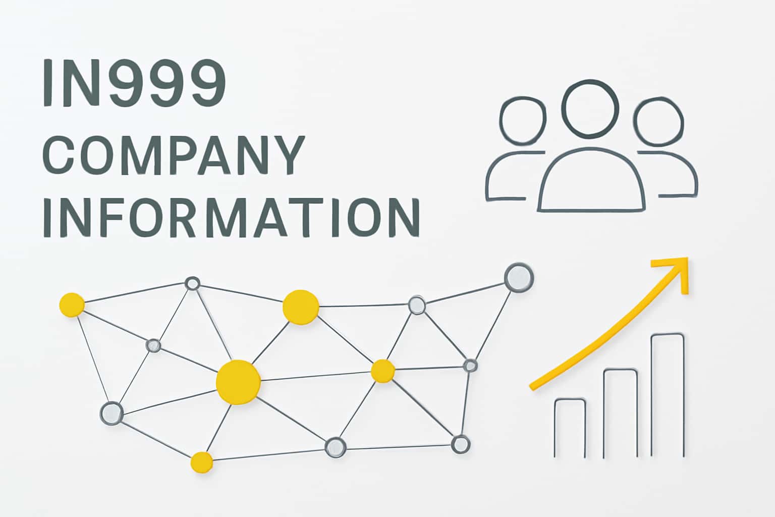 IN999 Company Information Interface